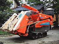 �R�V�q�J���̎Y�������_��