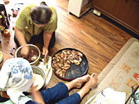 �R�V�q�J���̎Y�������_��