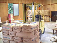 �R�V�q�J���̎Y�������_��