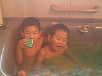 �R�V�q�J���̎Y�������_��