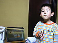 �R�V�q�J���̎Y��