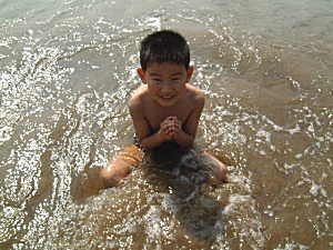 �R�V�q�J���̎Y�������_��