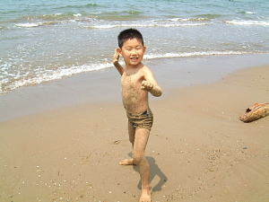 �R�V�q�J���̎Y�������_��