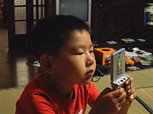 �R�V�q�J���̎Y�������_��