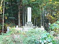 �R�V�q�J���̎Y�������_��