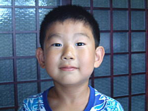 �R�V�q�J���̎Y�������_��