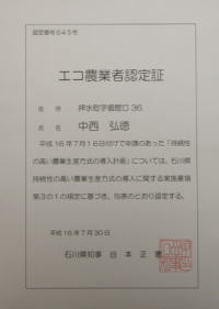 �R�V�q�J���̎Y�������_��